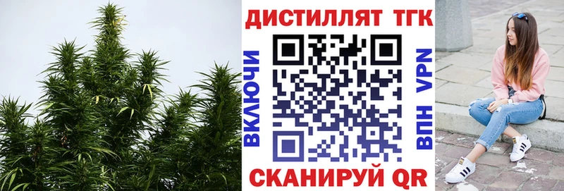 ТГК Wax  Камызяк 