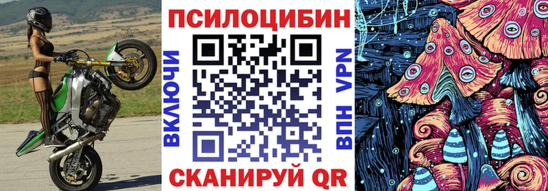 Псилоцибиновые грибы мицелий  Камызяк 